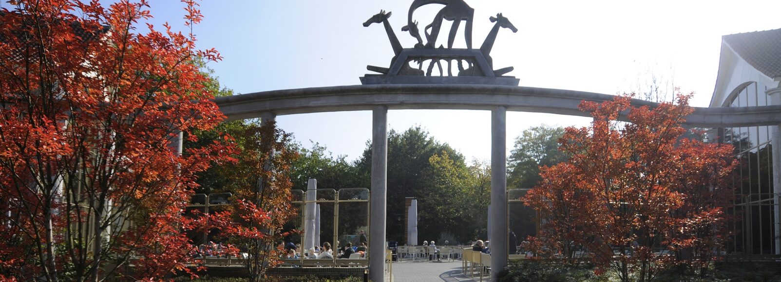 11305c96-56c2-4b4e-bfe9-d619452c916f