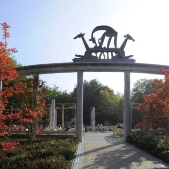 11305c96-56c2-4b4e-bfe9-d619452c916f