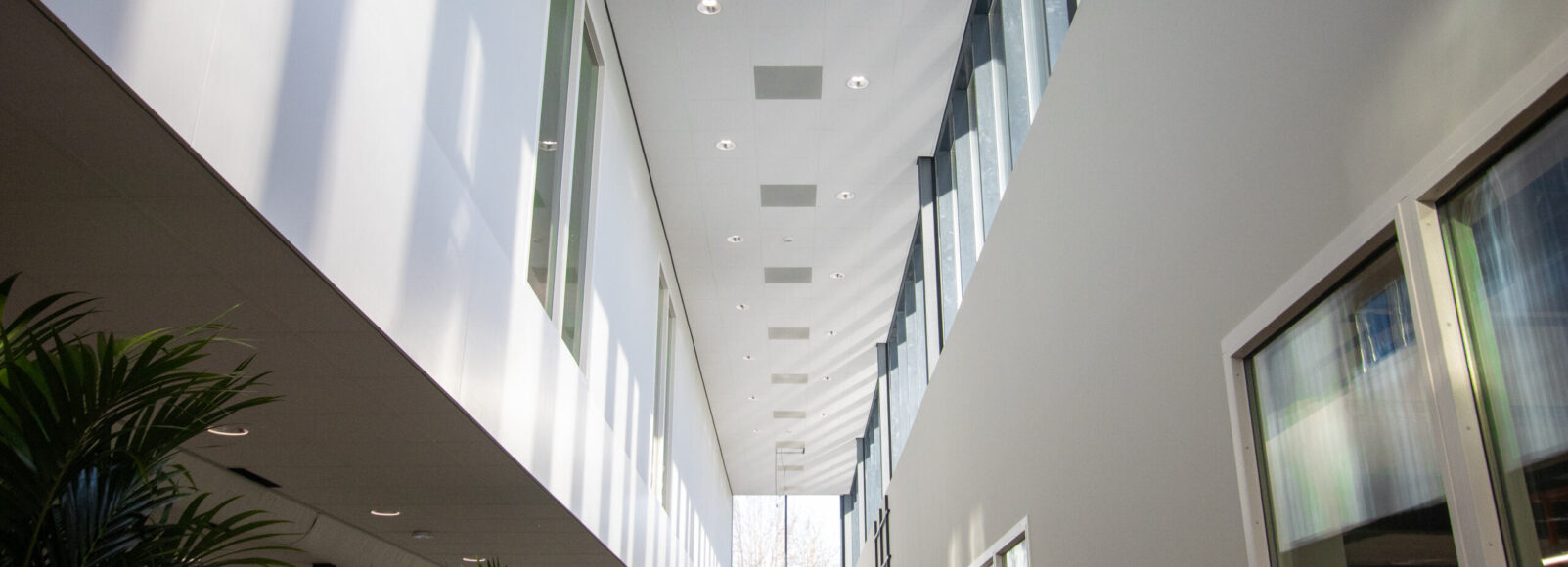 1c631aac-4bb5-42ab-bf40-f4aa861229c6