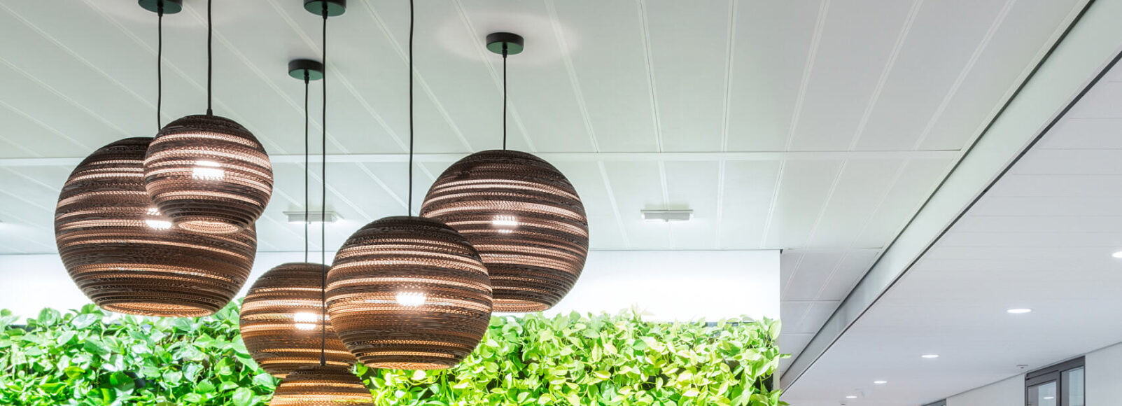 37f52aa0-7952-4407-a227-4e3dd5c3230b