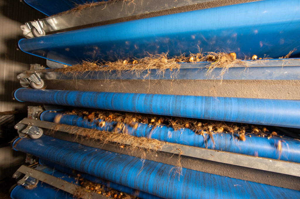 4596fdfb-eaae-4ef3-99ee-ad734174ca0e