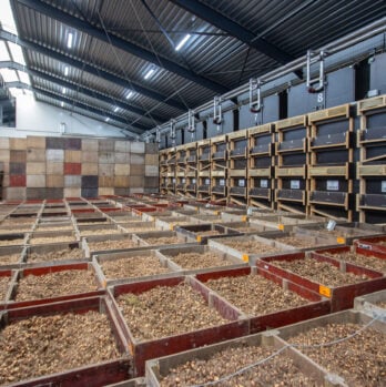 476e1c65-aca0-4473-8a2e-11d34a3ad1c7