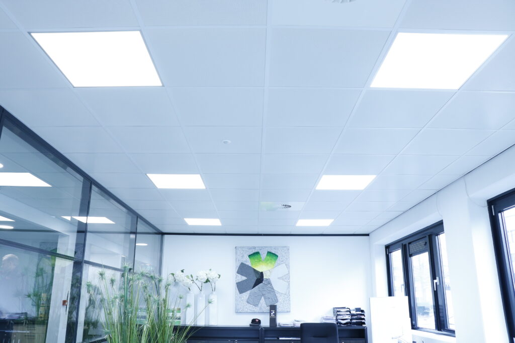 4e0901b2-8686-4bc0-99fc-fea2089fcfd8