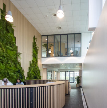 736402ed-0ca1-47be-81f2-dcee0c775374