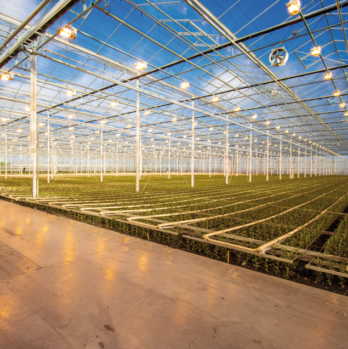 Schermafbeelding 2026-04-03 090727