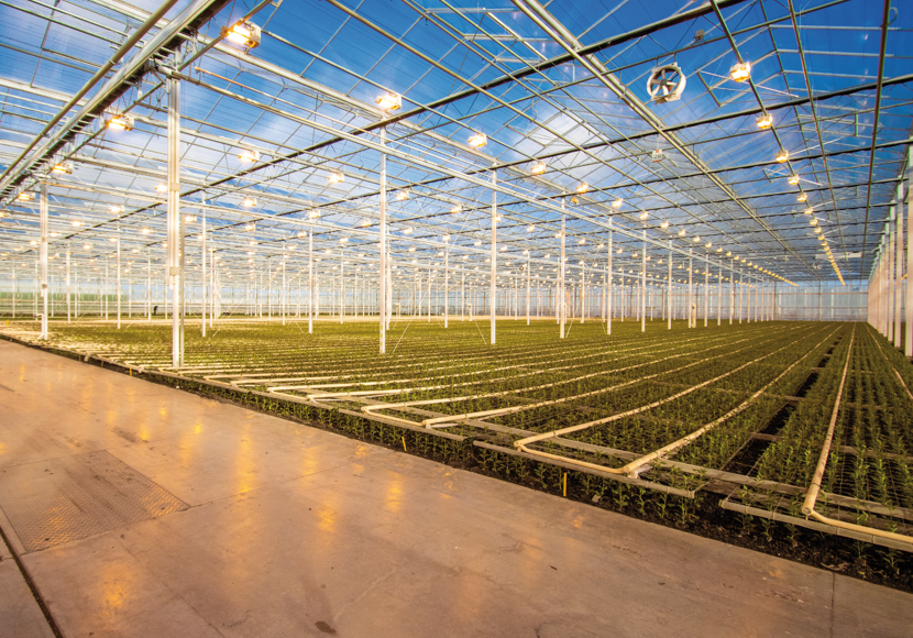 Schermafbeelding 2026-04-03 090727