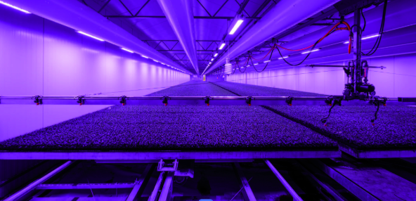 Schermafbeelding 2026-04-03 095031