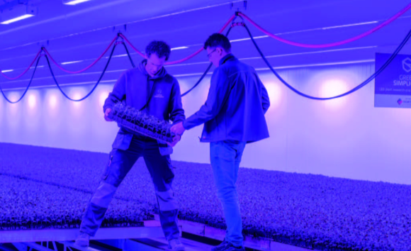 Schermafbeelding 2026-04-03 095939