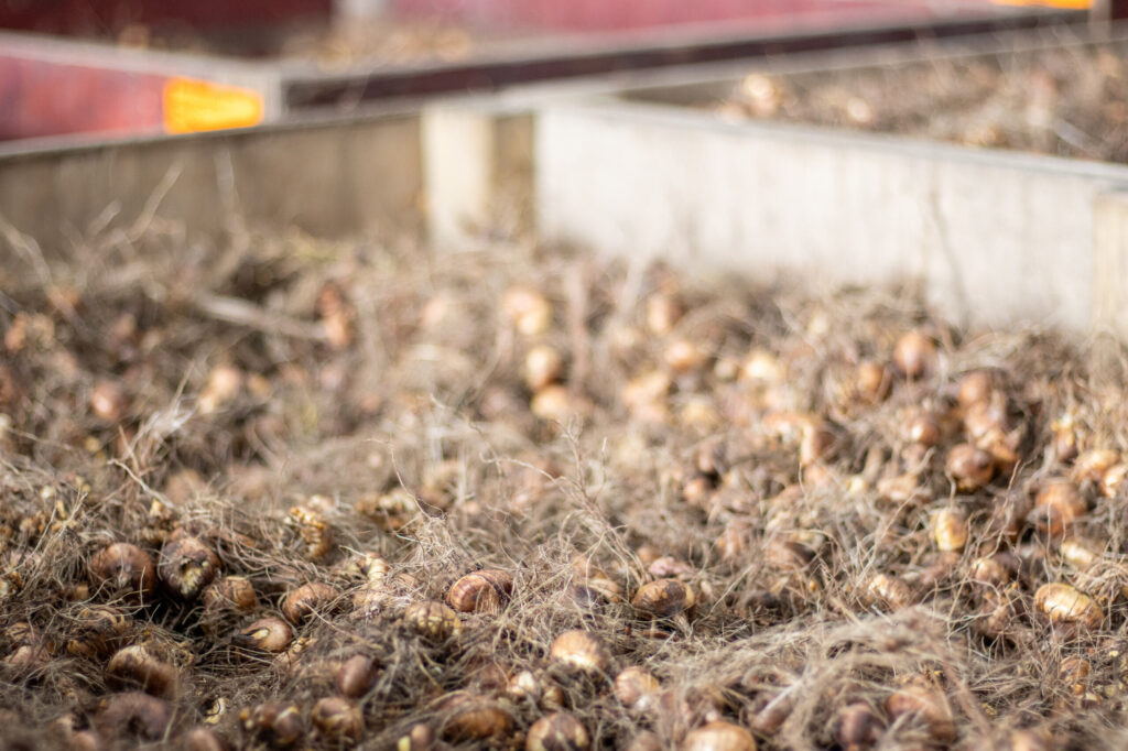 ba4a99f5-48bd-4e9f-8ec4-90d626b0df48