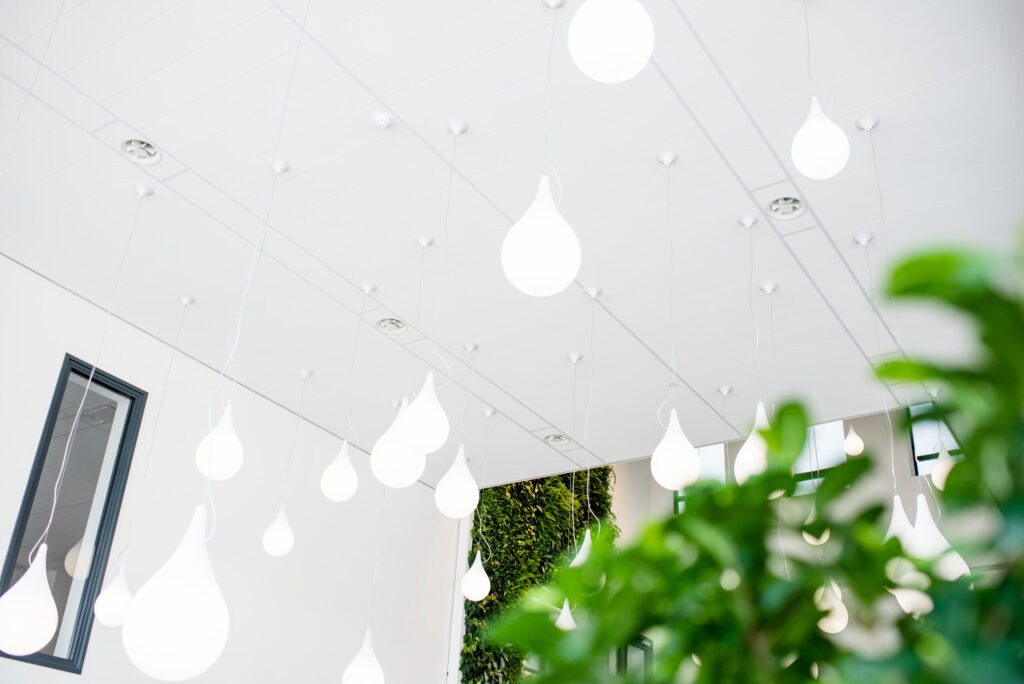 c7c6953d-bd2b-464d-8933-e1965cd33315